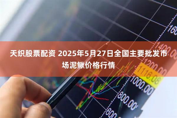 天织股票配资 2025年5月27日全国主要批发市场泥鳅价格行情