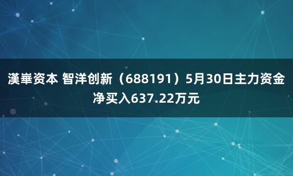 漢崋资本 智洋创新（688191）5月30日主力资金净买入637.22万元