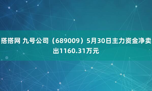 搭搭网 九号公司（689009）5月30日主力资金净卖出1160.31万元