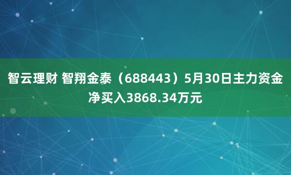 智云理财 智翔金泰（688443）5月30日主力资金净买入3868.34万元