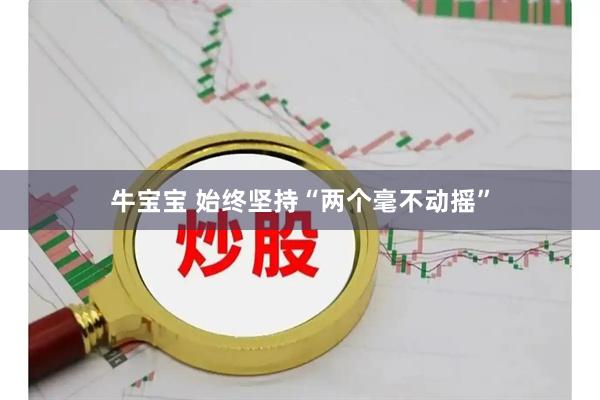 牛宝宝 始终坚持“两个毫不动摇”