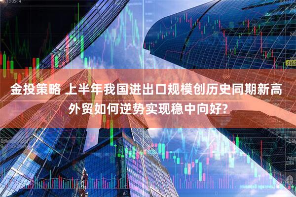 金投策略 上半年我国进出口规模创历史同期新高 外贸如何逆势实现稳中向好?