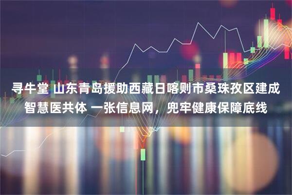 寻牛堂 山东青岛援助西藏日喀则市桑珠孜区建成智慧医共体 一张信息网，兜牢健康保障底线