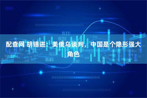 配查网 胡锡进：美俄乌谈判，中国是个隐形强大角色