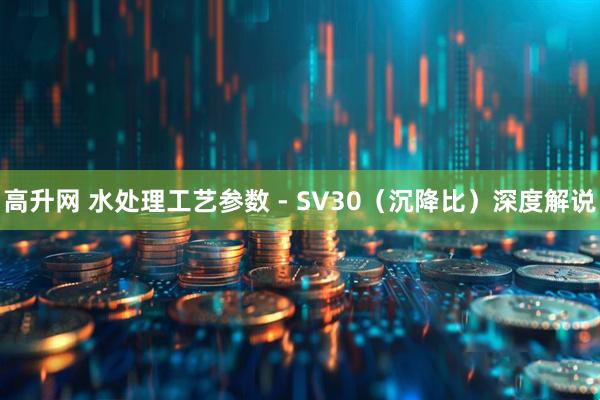 高升网 水处理工艺参数 - SV30（沉降比）深度解说